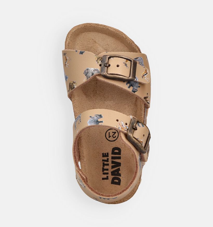 Little David Sandales pour b&eacute;b&eacute; en Taupe pour filles, gar&ccedil;ons (373070)