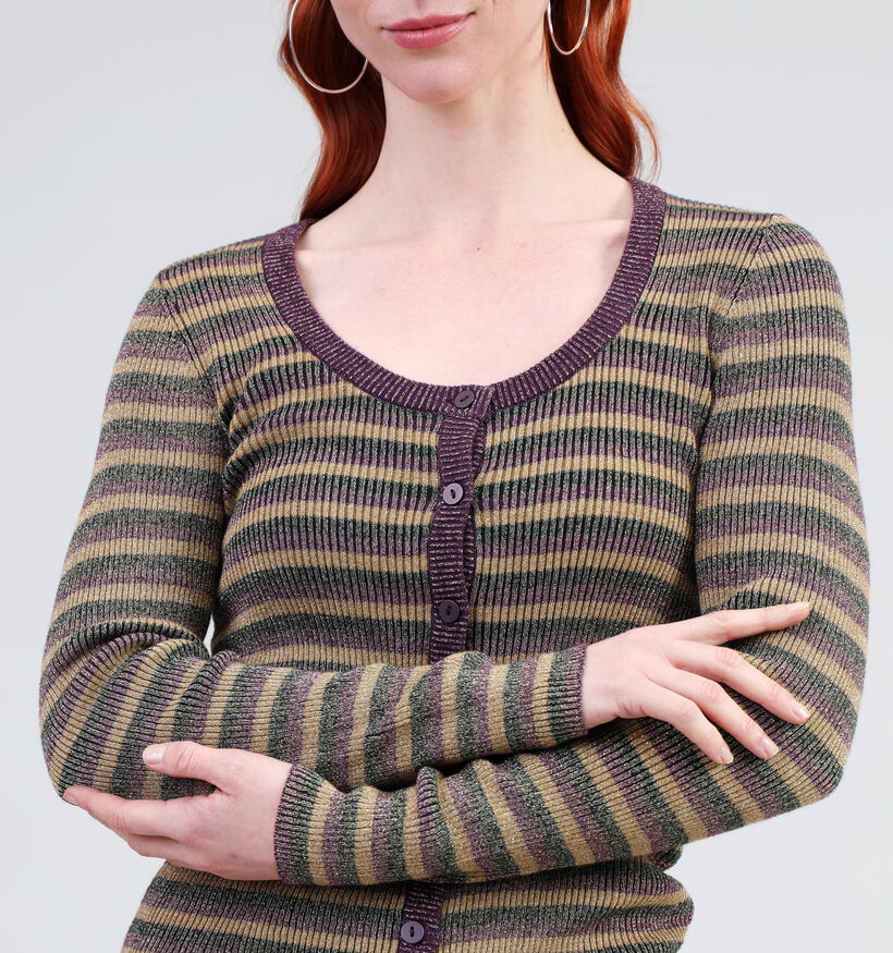 Vila Josie Paarse Gestreepte cardigan voor dames (345016)