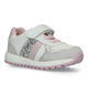Geox Alben Witte Velcroschoenen in daim (326580)