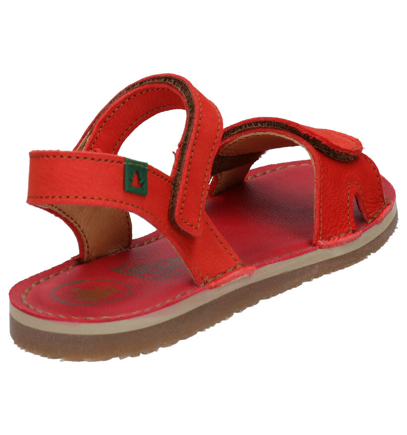 El Naturalista Perissa Sandales en Rouge en nubuck (288648)