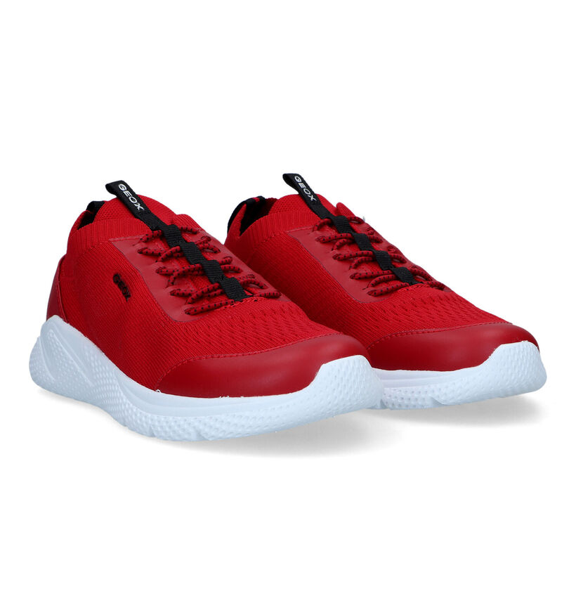 Geox Sprintye Blauwe Sneakers voor jongens (339641)
