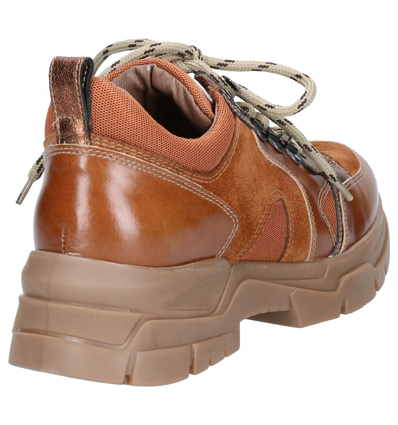 NeroGiardini Cognac Sneakers in leer (262497)