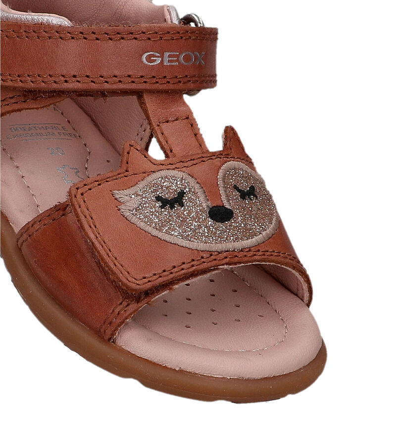 Geox Verred Roze Sandalen voor meisjes (320635)