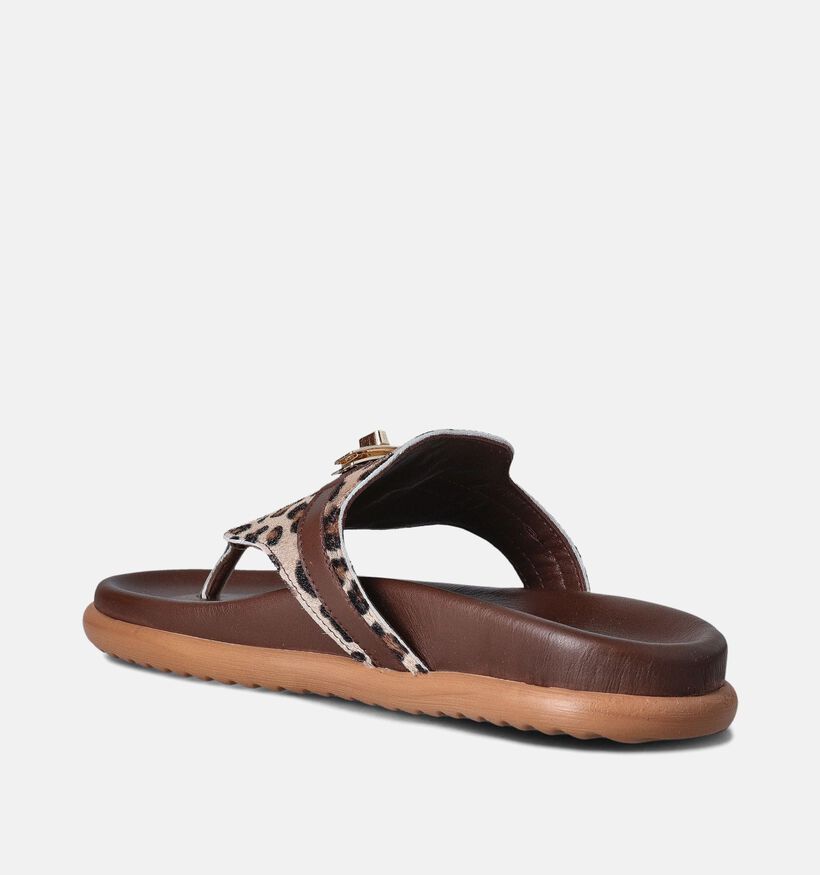 Laurent David Bruine Slippers voor dames (357849)