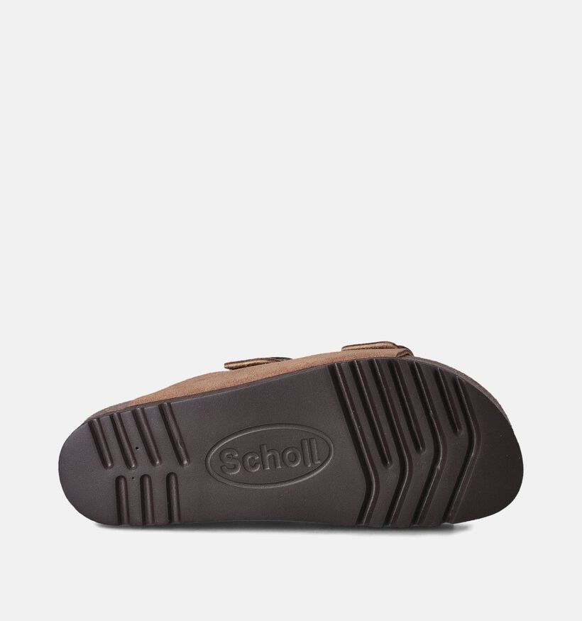 Scholl Josephine Taupe Slippers voor dames (357565)