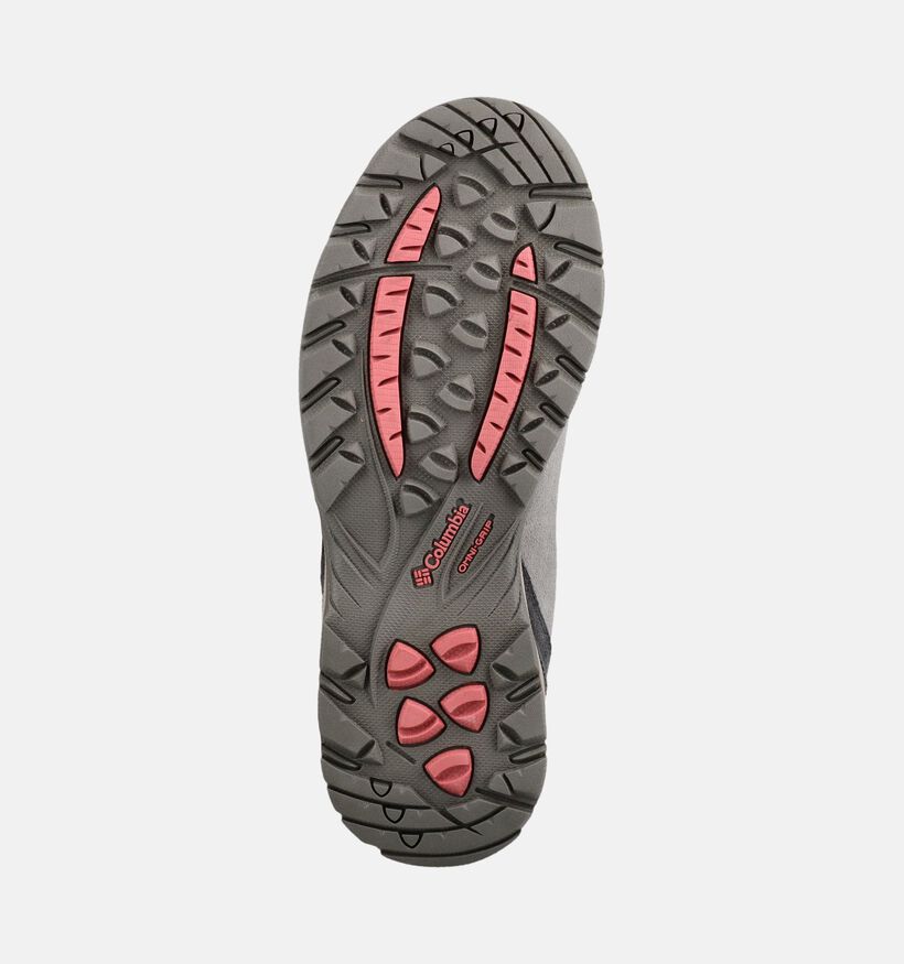 Columbia Newton Ridge Plus Waterproof Amped Grijze Wandelschoenen voor dames (377311) - geschikt voor steunzolen