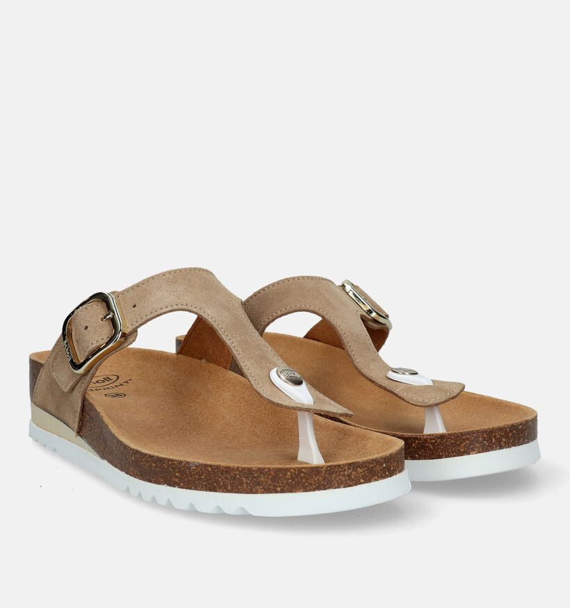 Scholl Ilary SS 1 Tongs en Brun en nubuck (336728)