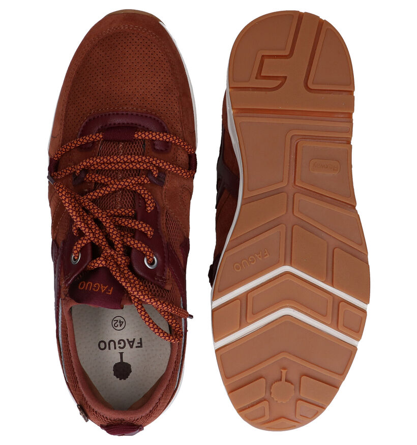 Faguo Willowsocks Cognac Sneakers in daim (280265)