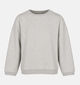 The Shirt Project Sweatshirts en Gris pour femmes (381883)