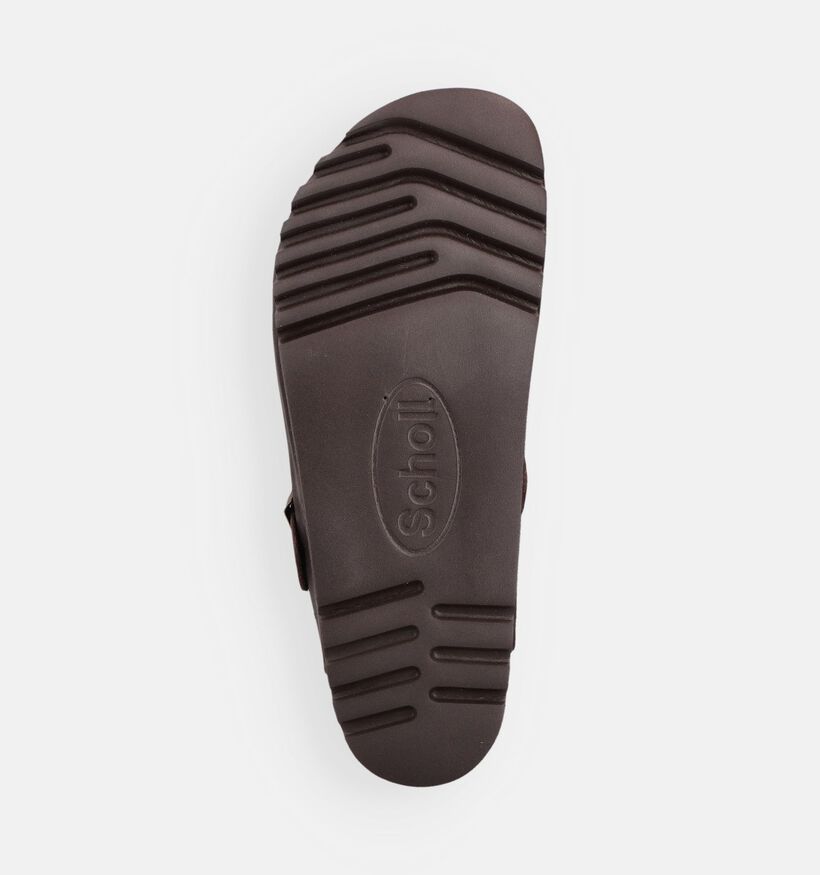 Scholl Olivier Clogs en Brun fonc&eacute; pour hommes (369893)