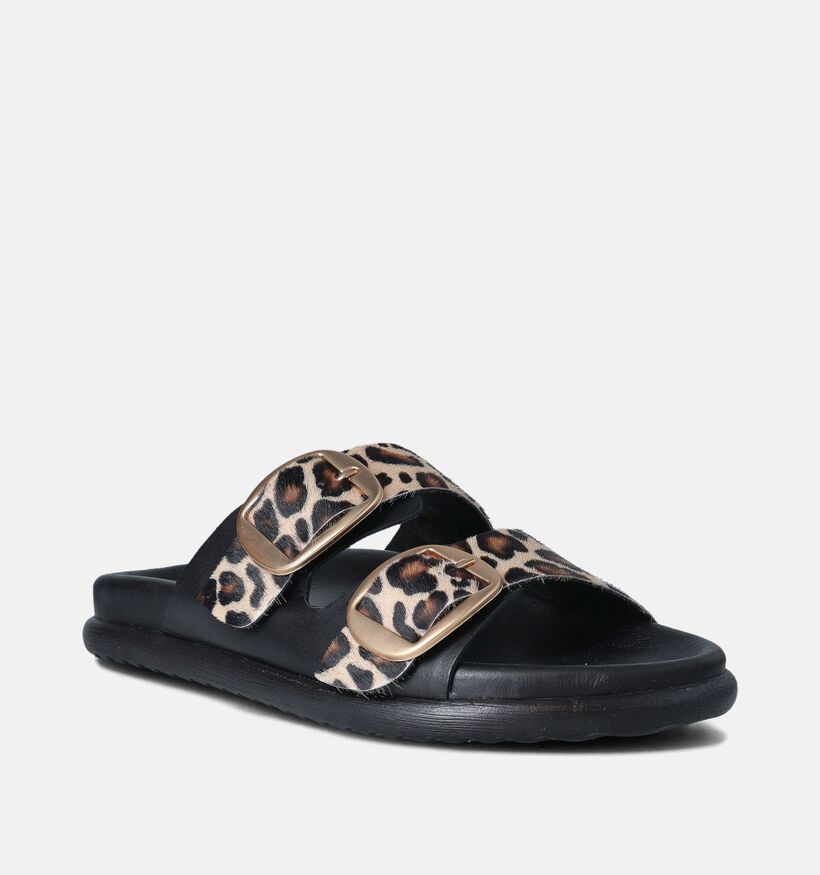 Laurent David Zwarte Slippers voor dames (357847)