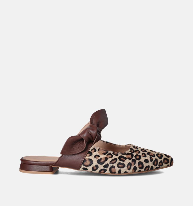 Laurent David Bruine Slippers voor dames (357822)