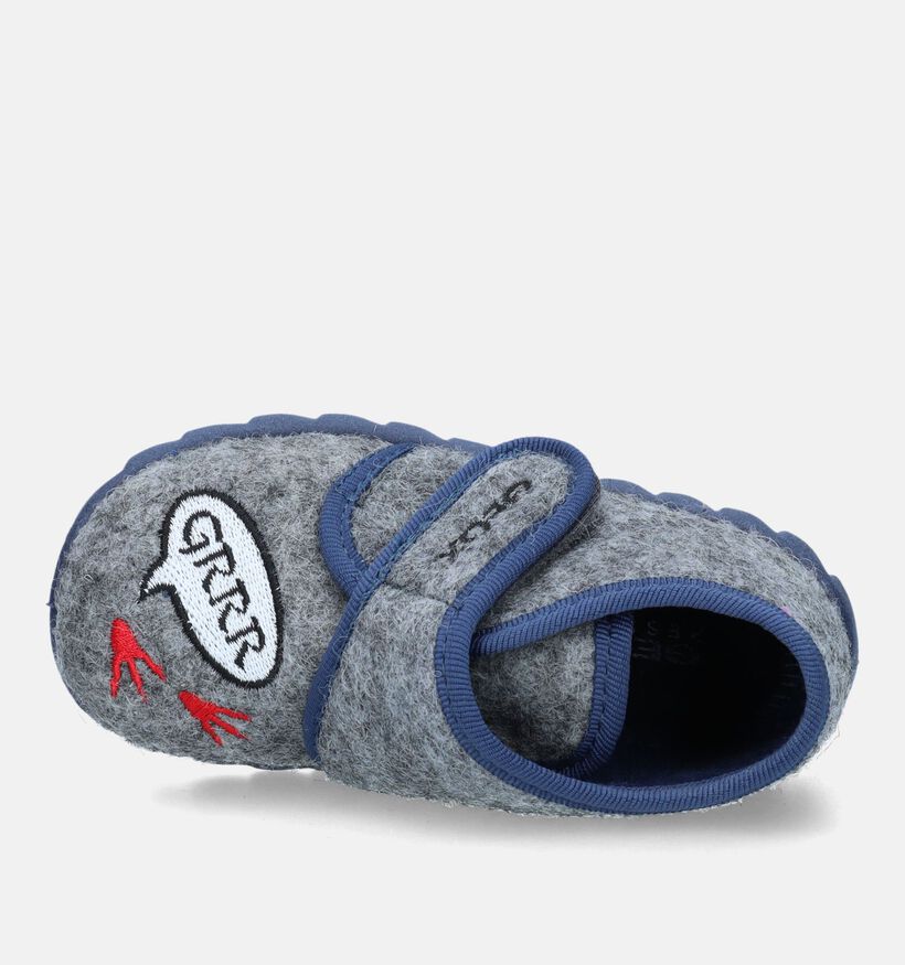 Geox Zyzie Grijze Pantoffels voor jongens (330050)