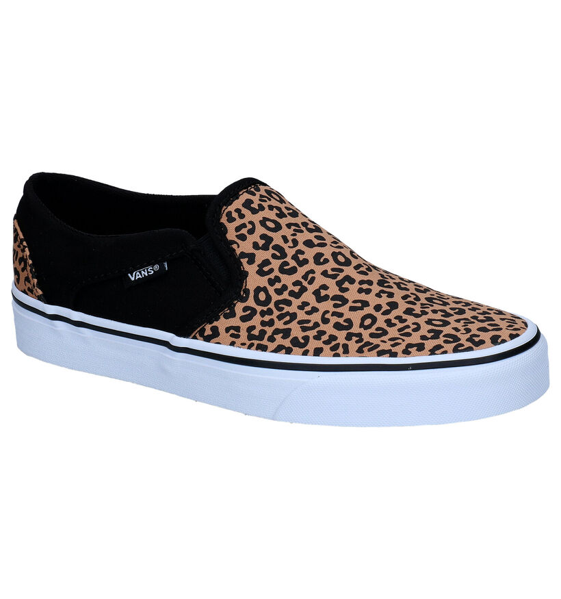 Vans Asher Baskets en Brun en textile (287358)