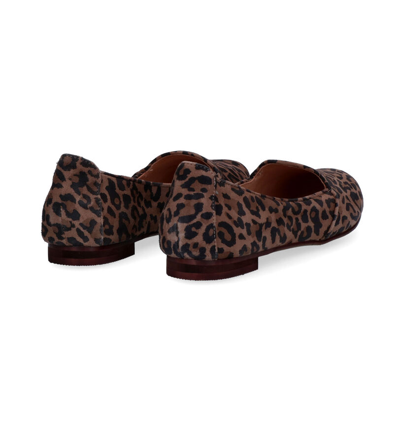 Poelman Loafers en Marron en nubuck (317508)