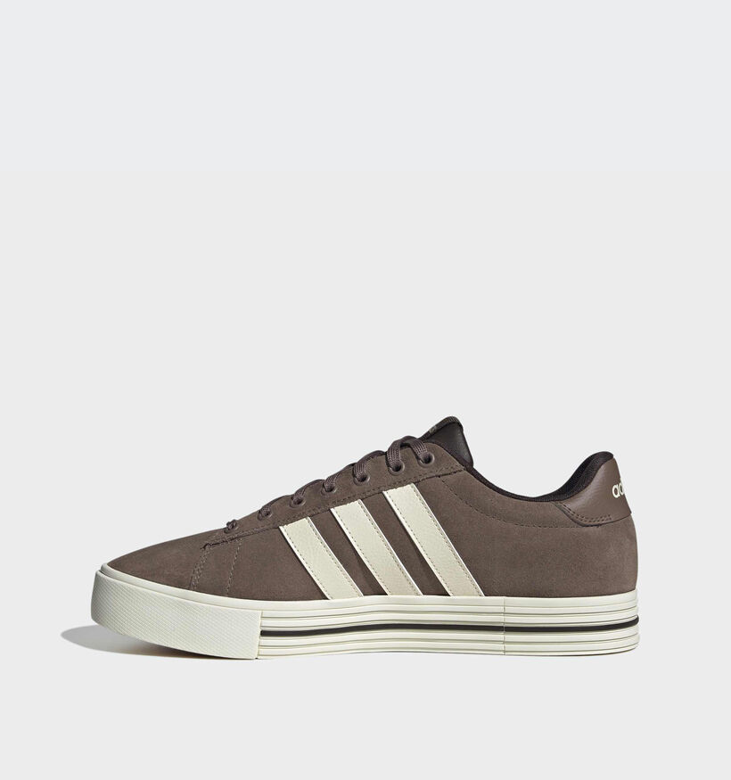 adidas Daily 4.0 Baskets basses en Marron pour hommes (366872)