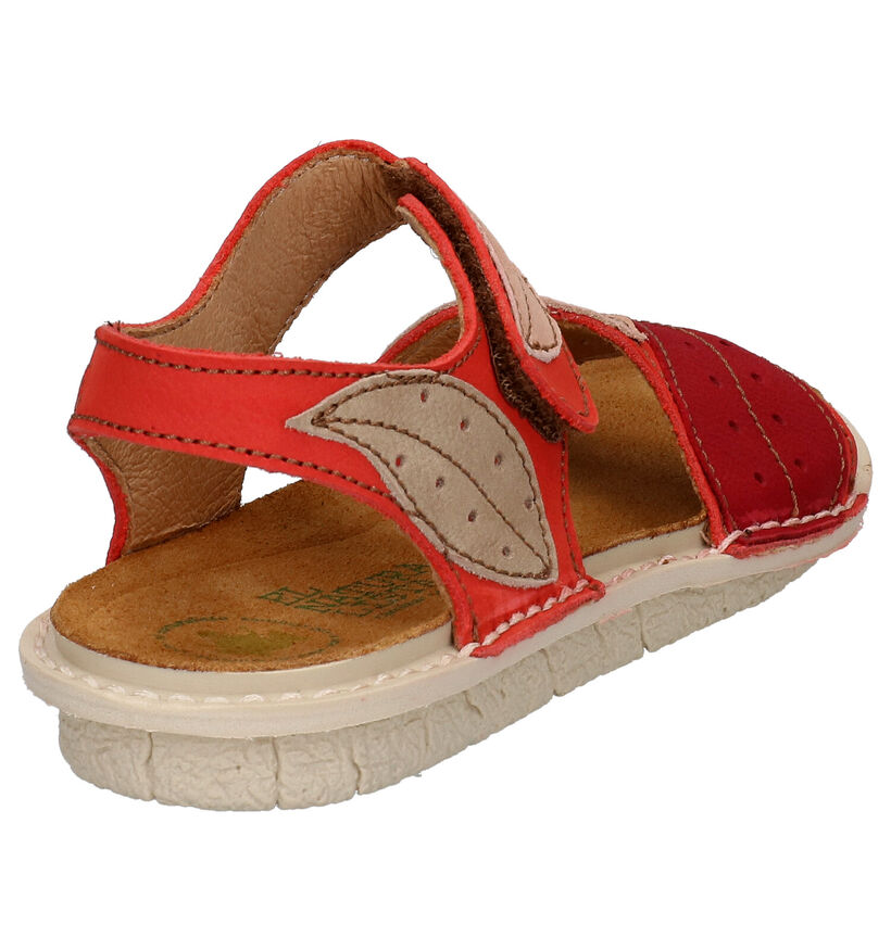 El Naturalista Terra Sandales en Rouge en cuir (275129)