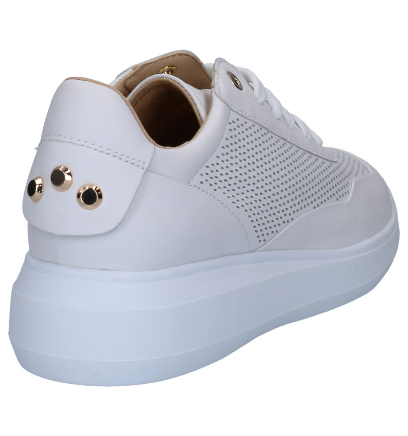 Geox Baskets habillées en Blanc en cuir (266825)