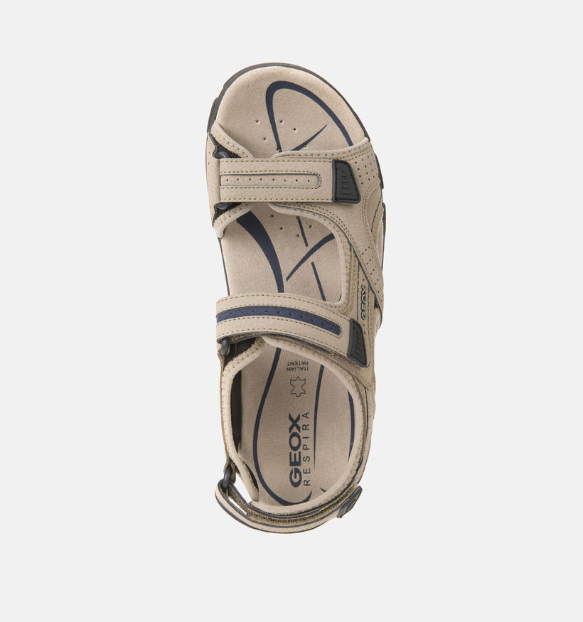 Geox Uomo Sandales de marche en Marron pour hommes (351636)