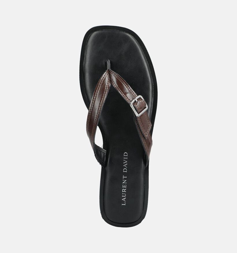 Laurent David Bruine Slippers voor dames (378280)