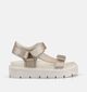 Tommy Hilfiger Gouden Sandalen voor meisjes (368692)