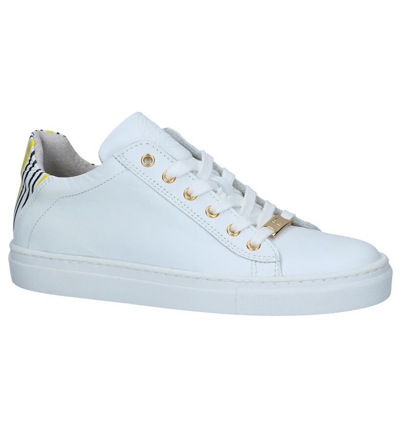 Witte Veterschoenen Hampton Bays in leer (245749)