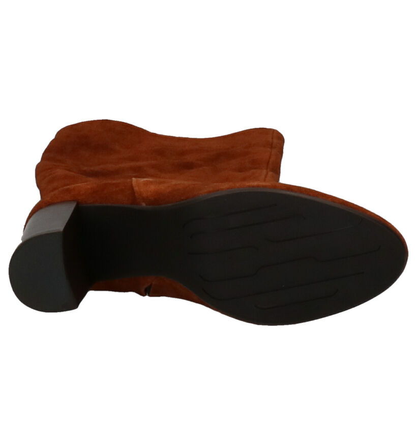 Hampton Bays Cognac Laarzen voor dames (258754)