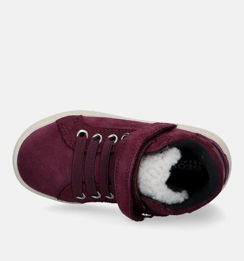 Geox Theleven Cognac Waterdichte Schoenen voor meisjes (328515) - geschikt voor steunzolen