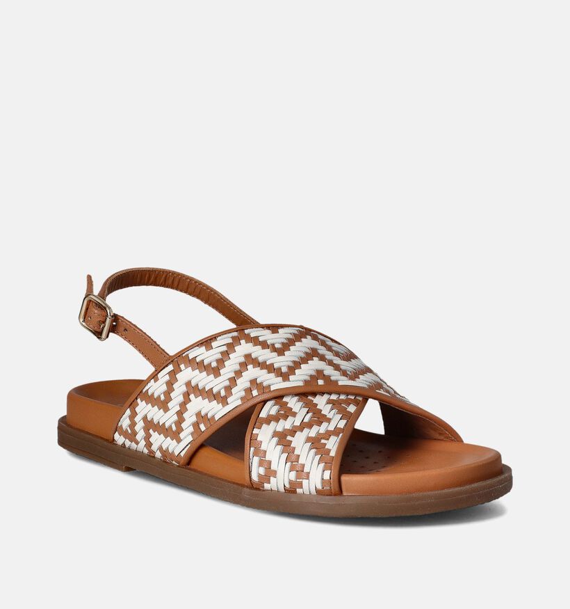 Geox Adelash Bruine Sandalen Chevron voor dames (351674)