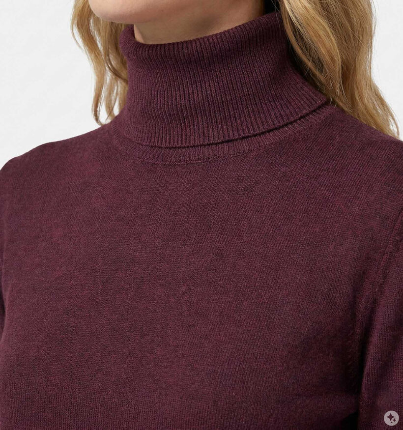Orfeo Aliz Pull en Bordeaux pour femmes (381668)