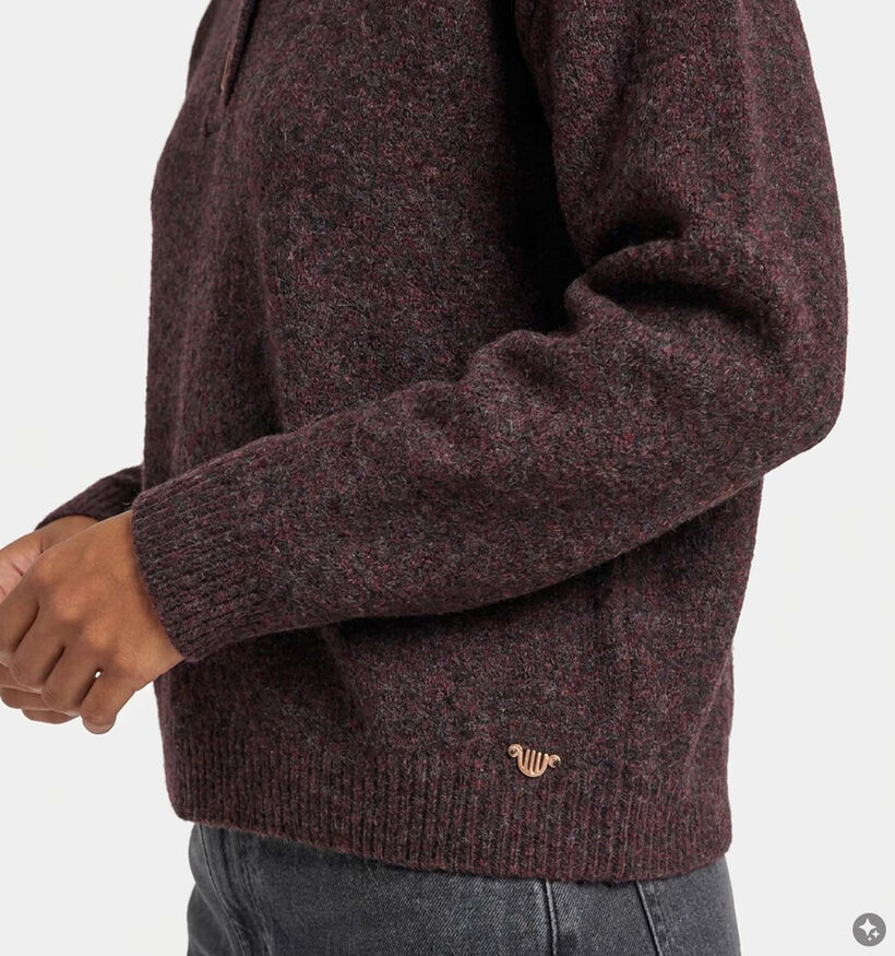 Orfeo Nathanielle Bordeaux Trui voor dames (381661)