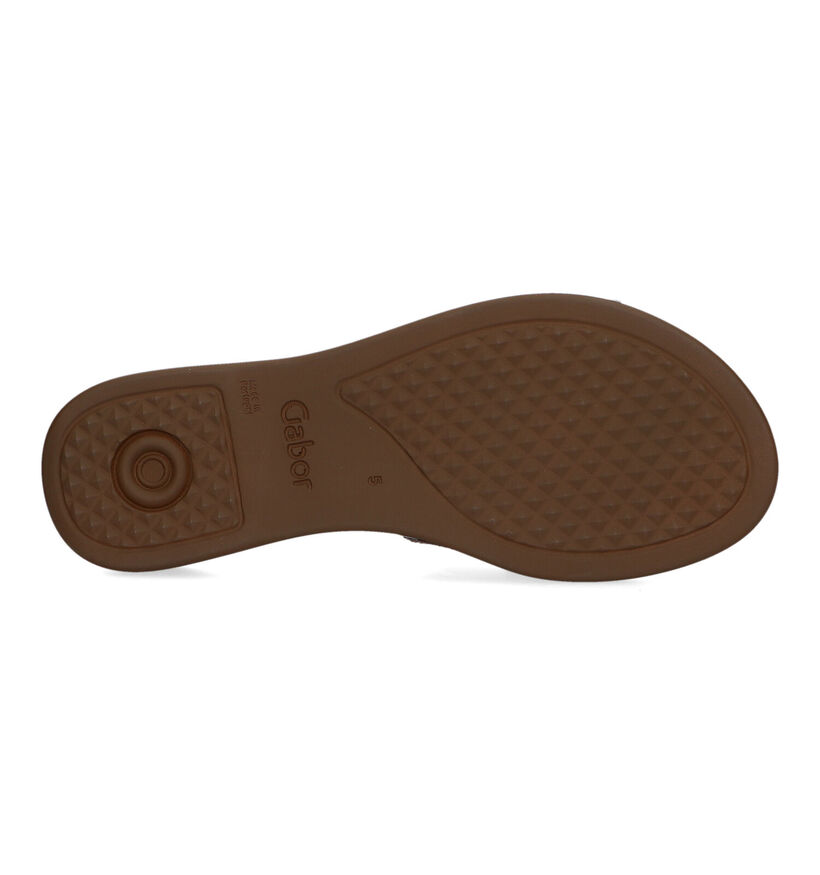 Gabor Paarse Slippers voor dames (323261)
