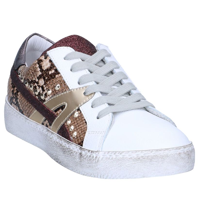 Clue Baskets habillées en Marron en cuir (262592)