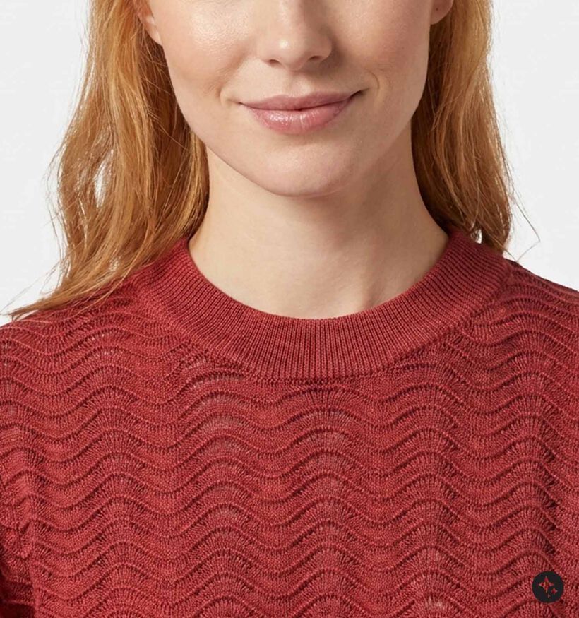 Desires Roselle Bordeaux Trui voor dames (376879)