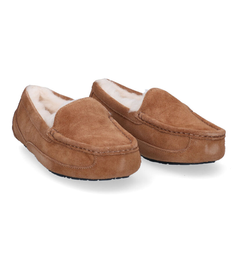 UGG Ascot Pantoufles en Cognac en nubuck (294866)