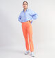 comma casual identity Oranje Broek voor dames (337515)