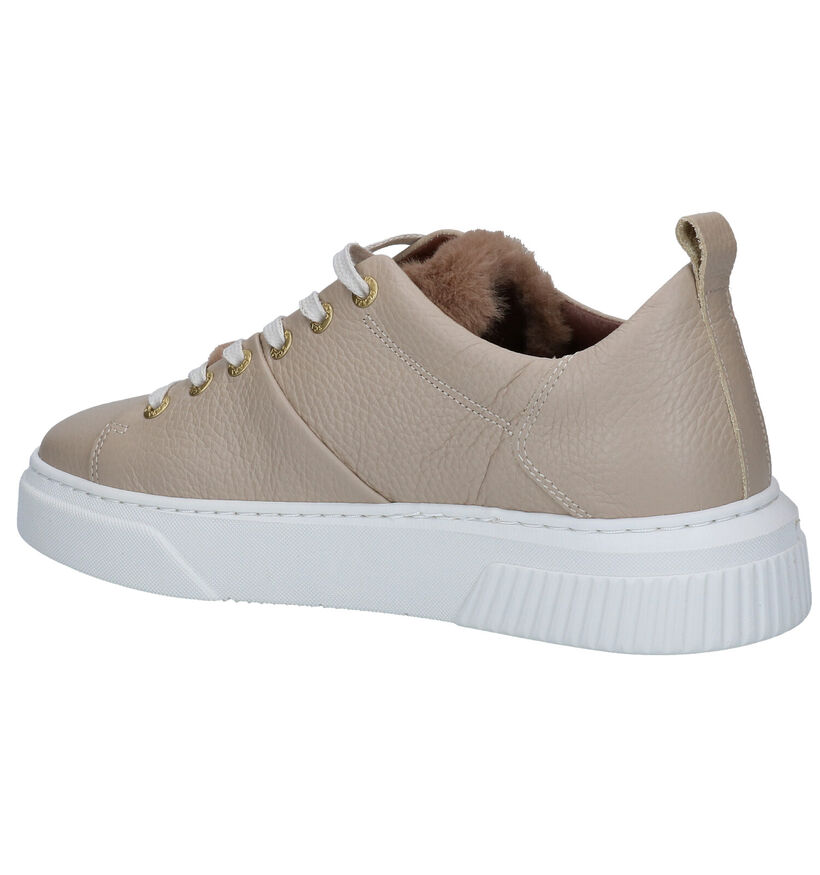 Scapa Beige Veterschoenen in leer (297901)