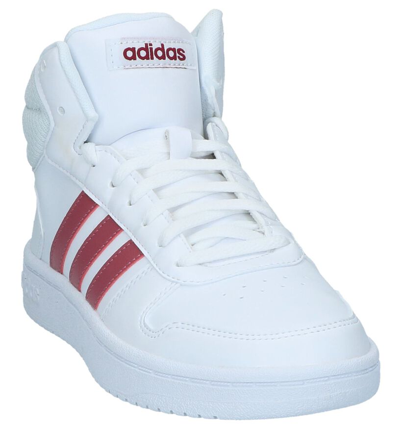 adidas Hoops Baskets en Blanc pour femmes (300158)