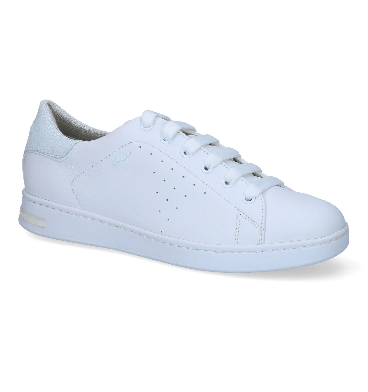 Geox Jaysen Baskets en Blanc Femmes Baskets en ligne sur TORFS.BE