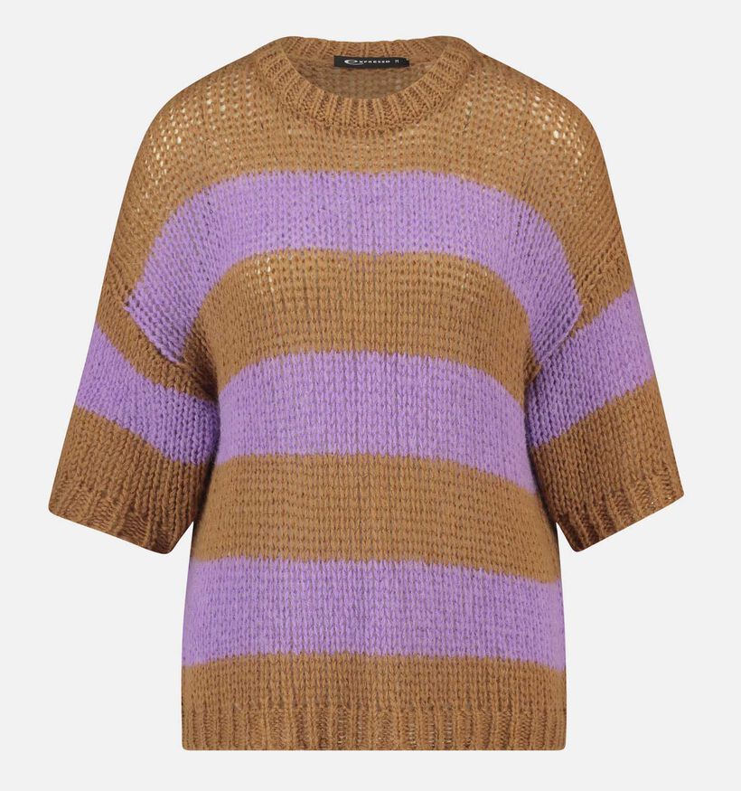 Expresso Paarse Gestreepte trui voor dames (351049)