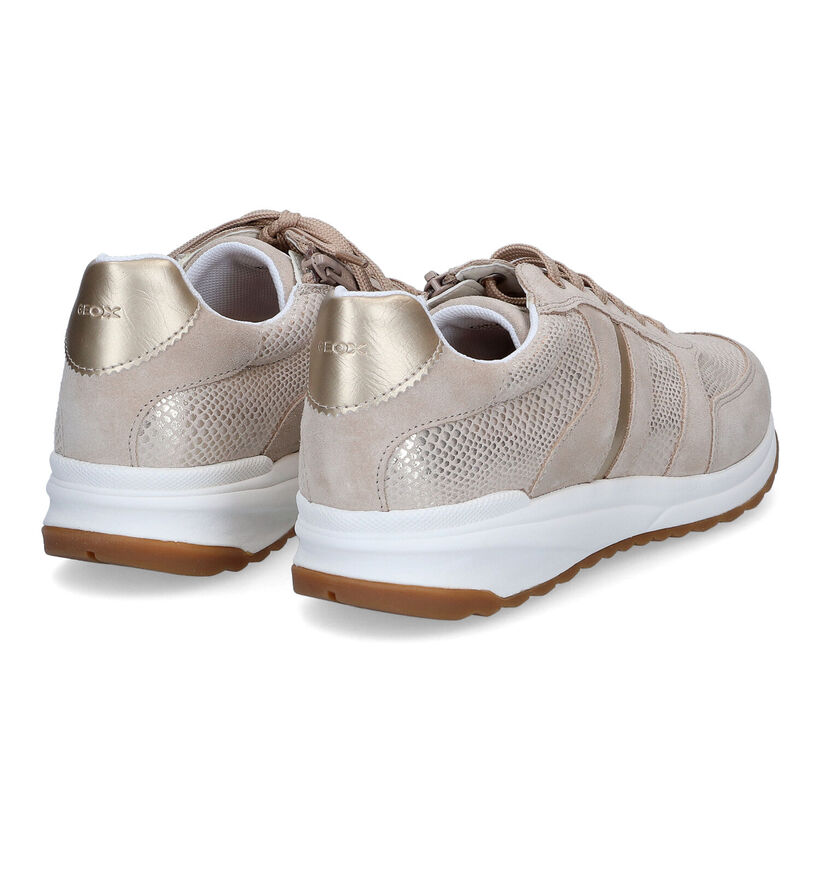 Geox Airell Beige Sneakers in daim (303646)