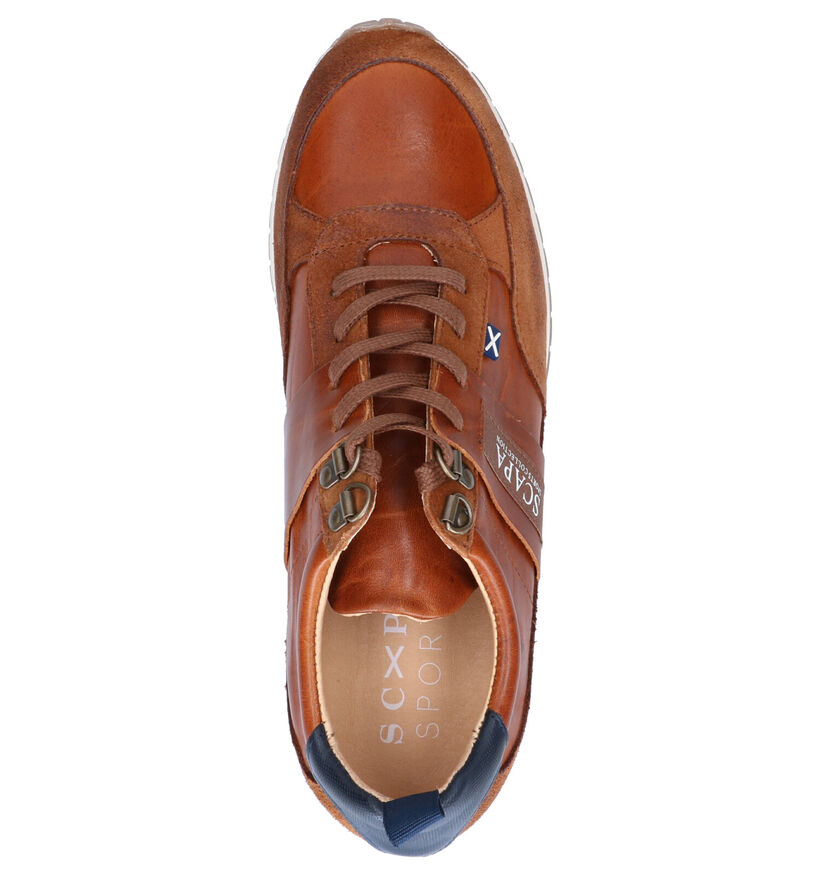 Scapa Cognac Sneakers in leer (259121)
