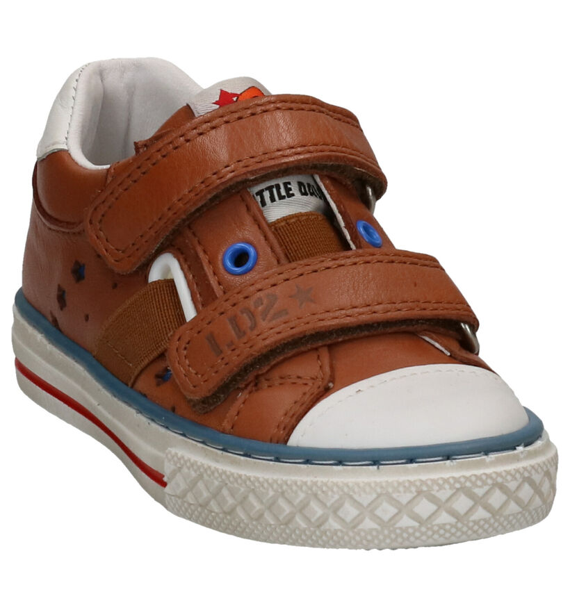 Little David Patton Cognac Velcroschoenen in leer (273224)