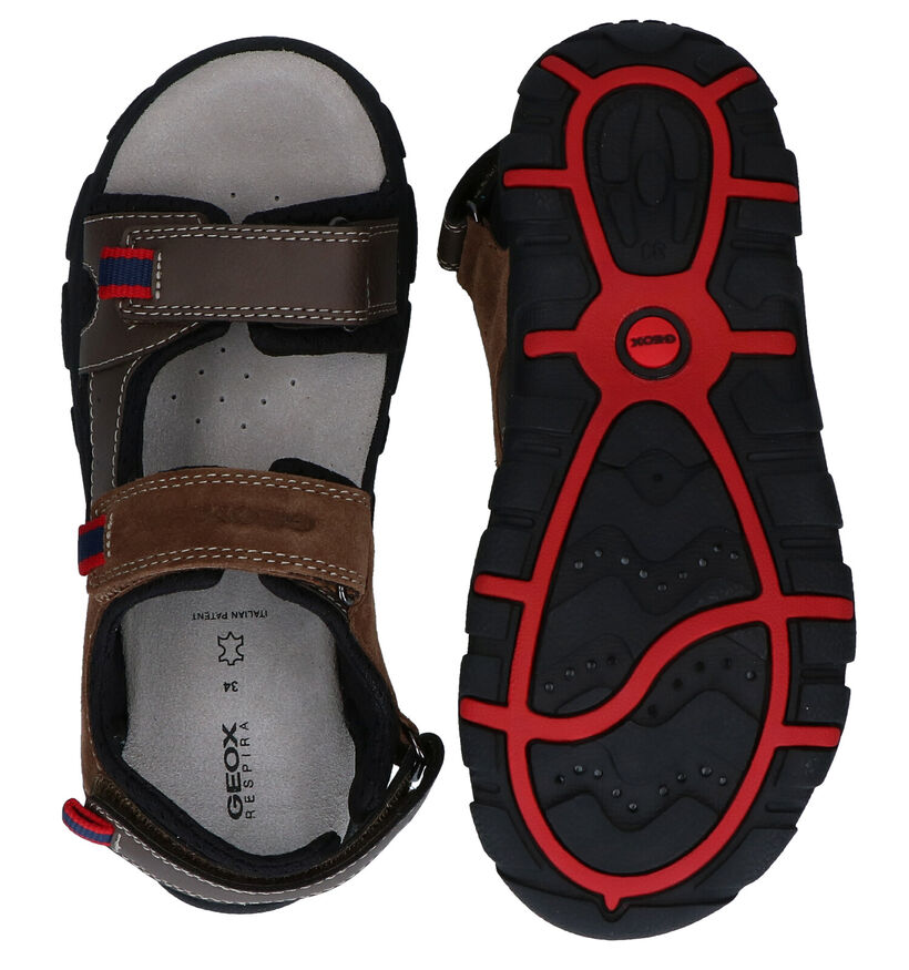 Geox Sandales en Brun foncé en simili cuir (286966)