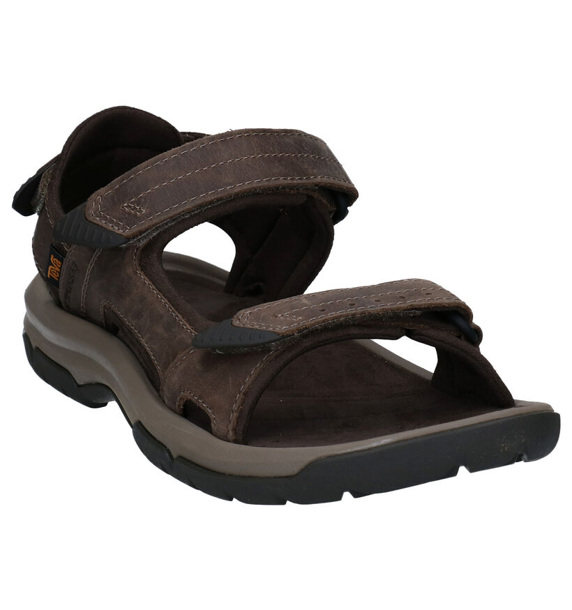 Teva Langdon Sandal Sandales de marche en Marron pour hommes (354633)