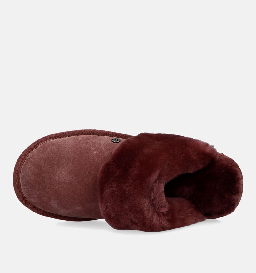 Warmbat Flurry Cognac Wollen Pantoffels voor dames (329908)
