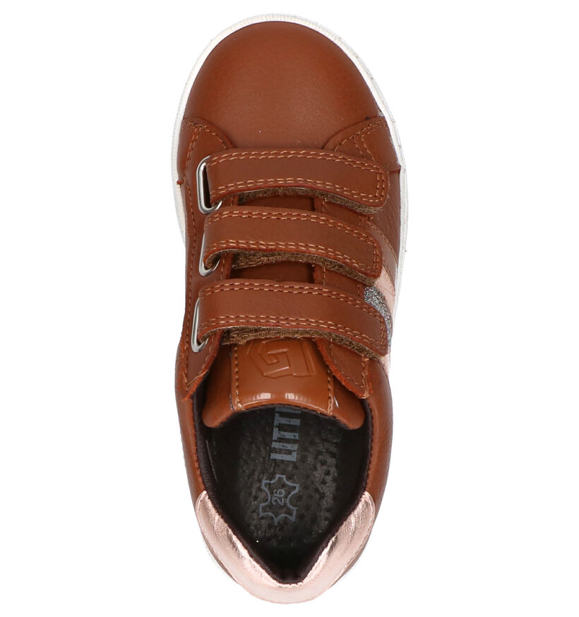 Little David Viva Cognac Sneakers in leer (261161)