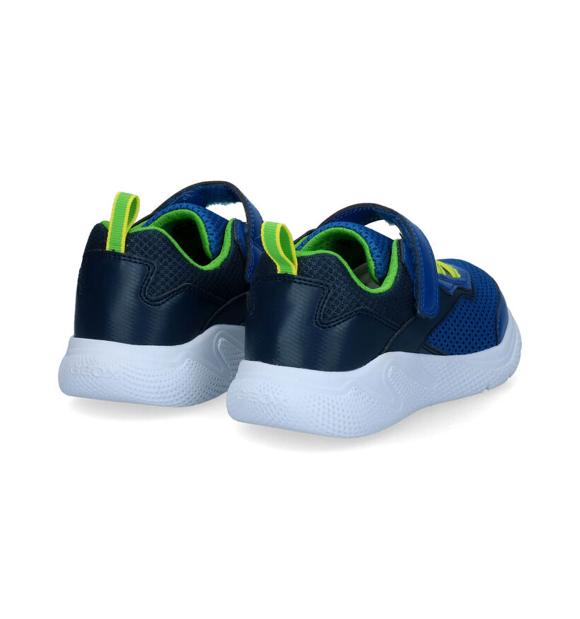 Geox Sprintye Baskets en Bleu pour garçons (302610) - pour semelles orthopédiques
