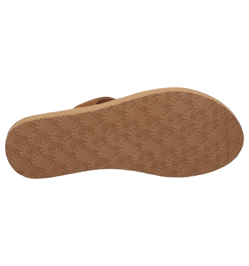 Ugg Tawney Cognac Teenslippers in leer (266673)