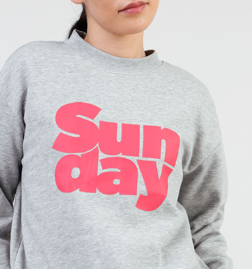 Pieces Pyra Printe Grijze Sweater voor dames (349429)